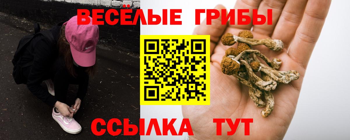 Псилоцибиновые грибы мицелий Комсомольск-на-Амуре